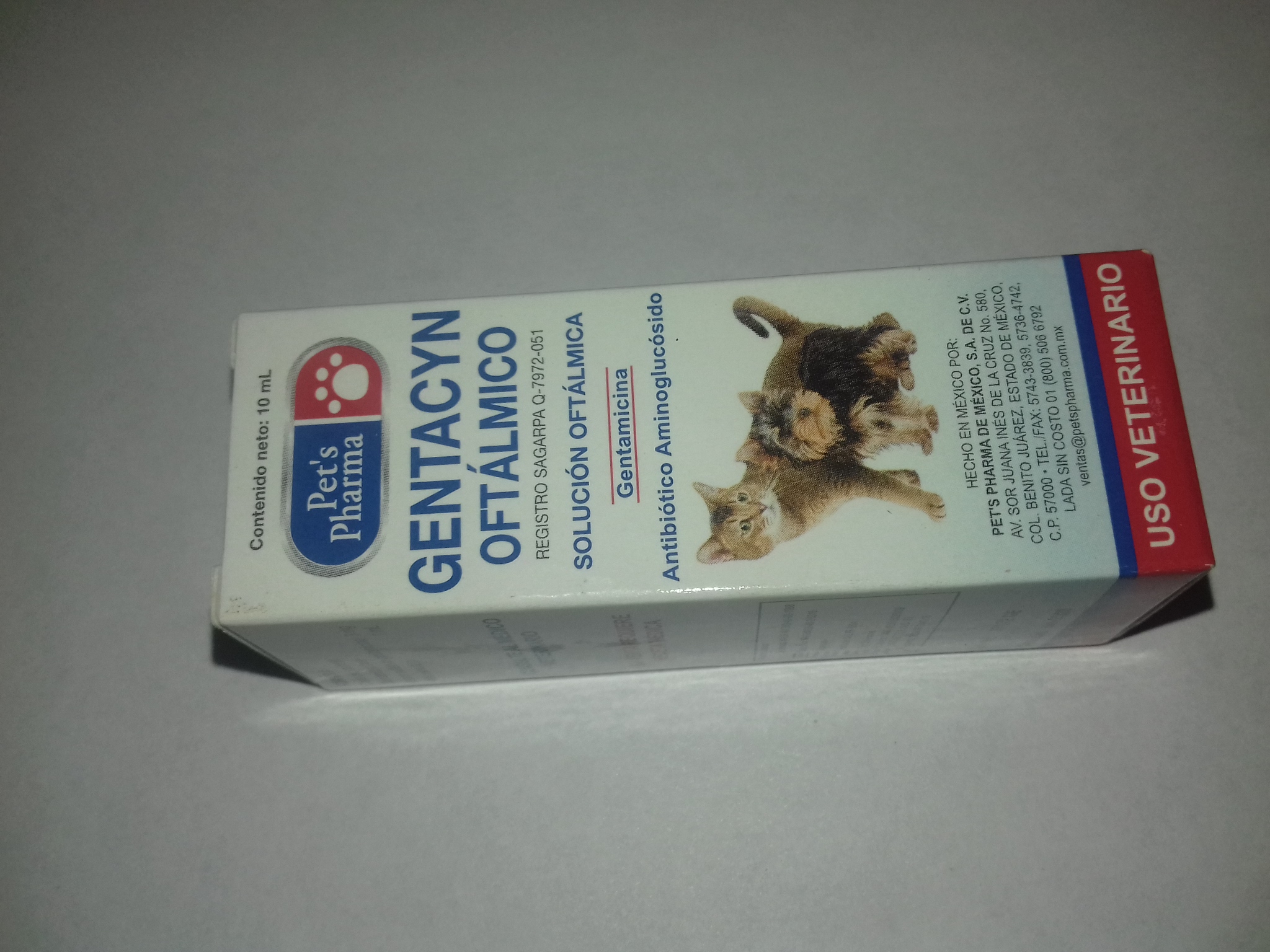 GENTACYN oftalmico 10ml