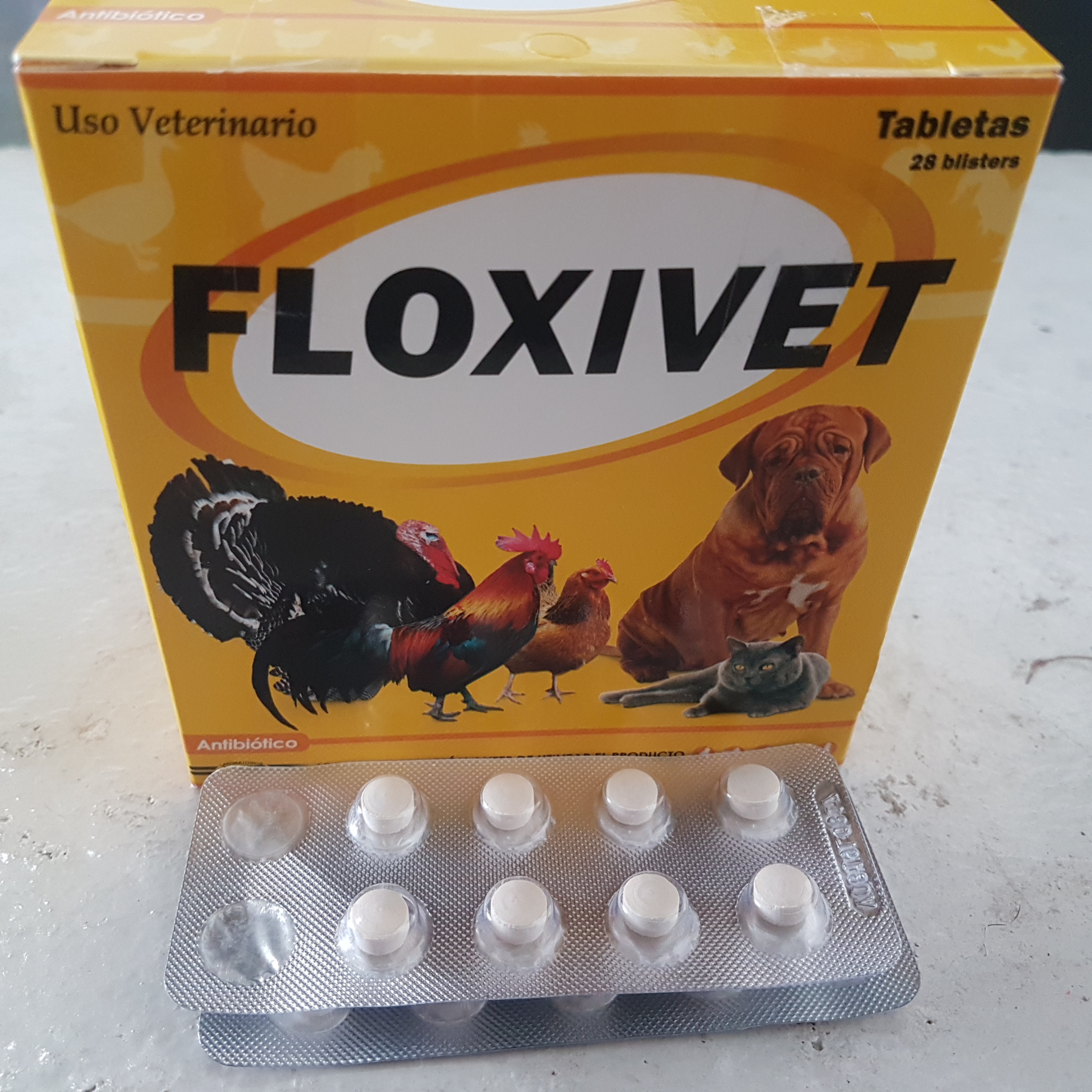 Floxivet Tableta Blister de 8