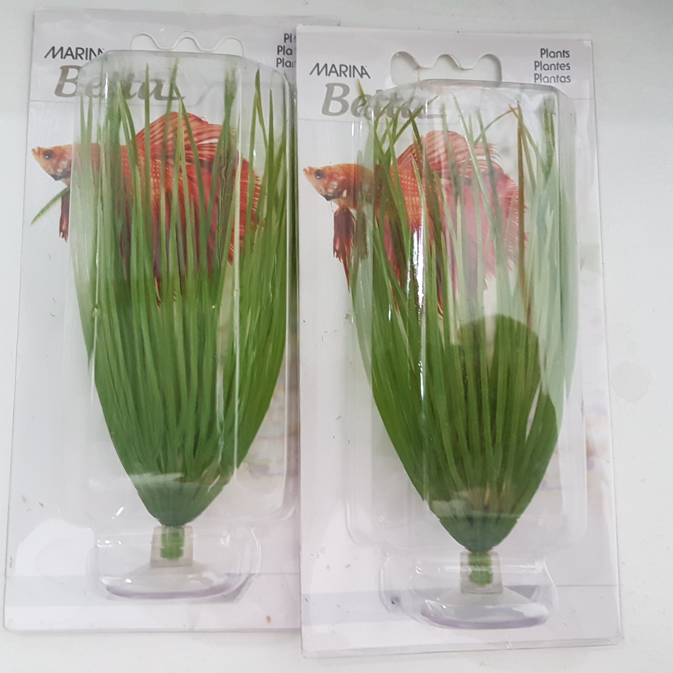 MARINA BETTA PLANT HAIRGRASS PEQ